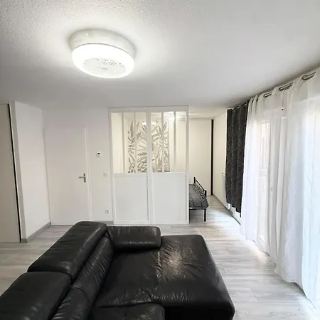 Large Independent Sleeping Area Swimming Pool Annemasse