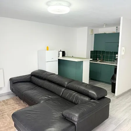 Large Independent Sleeping Area Swimming Pool Apartman